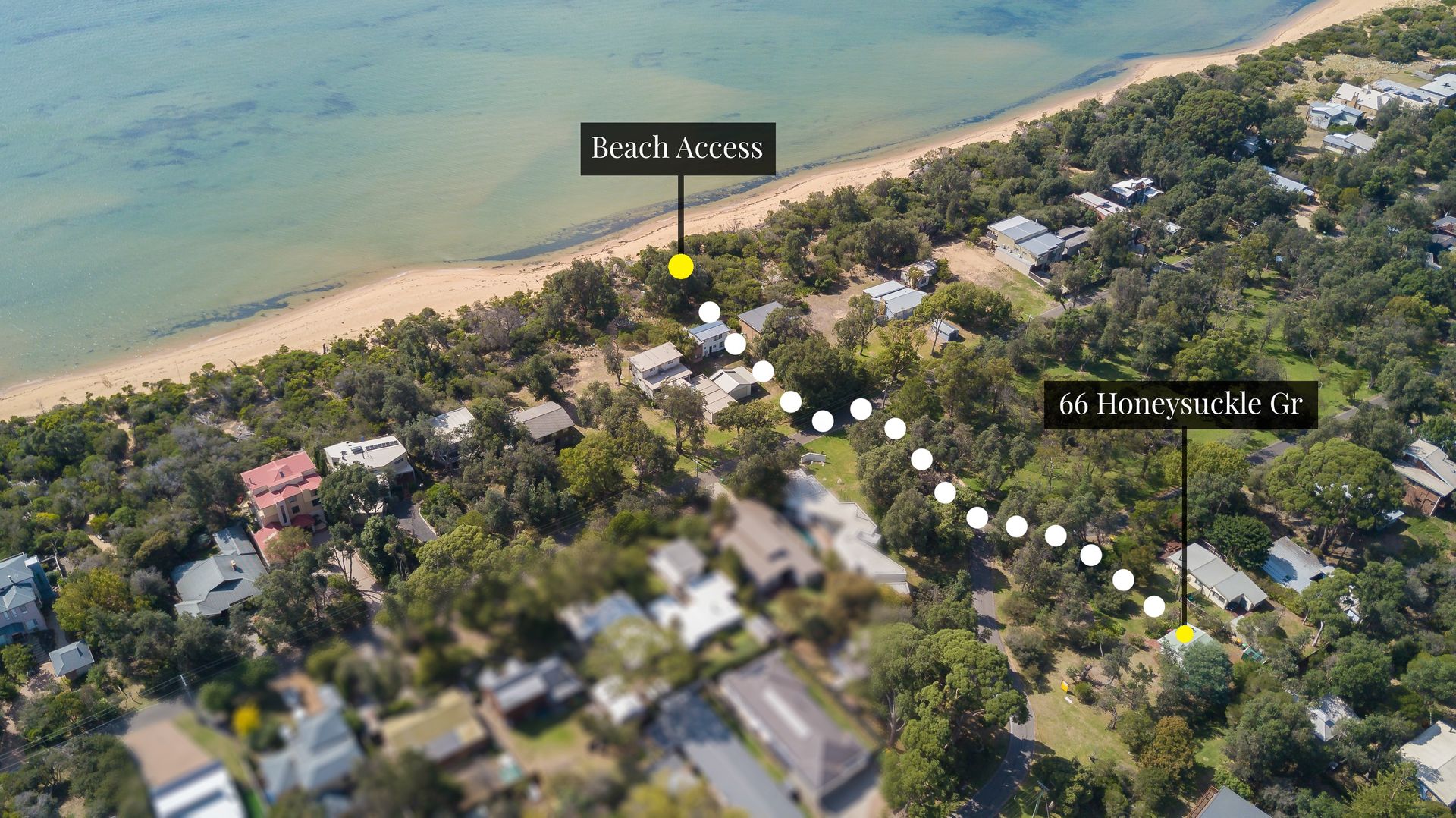 66 Honeysuckle Grove, Silverleaves VIC 3922, Image 1