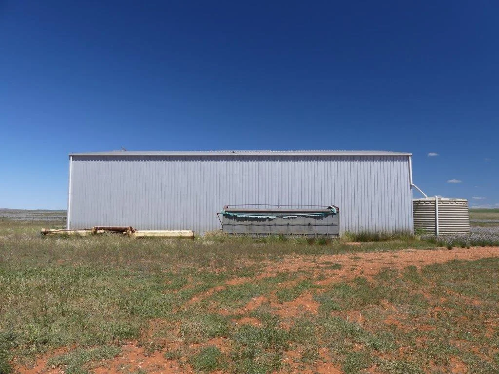 Image 6