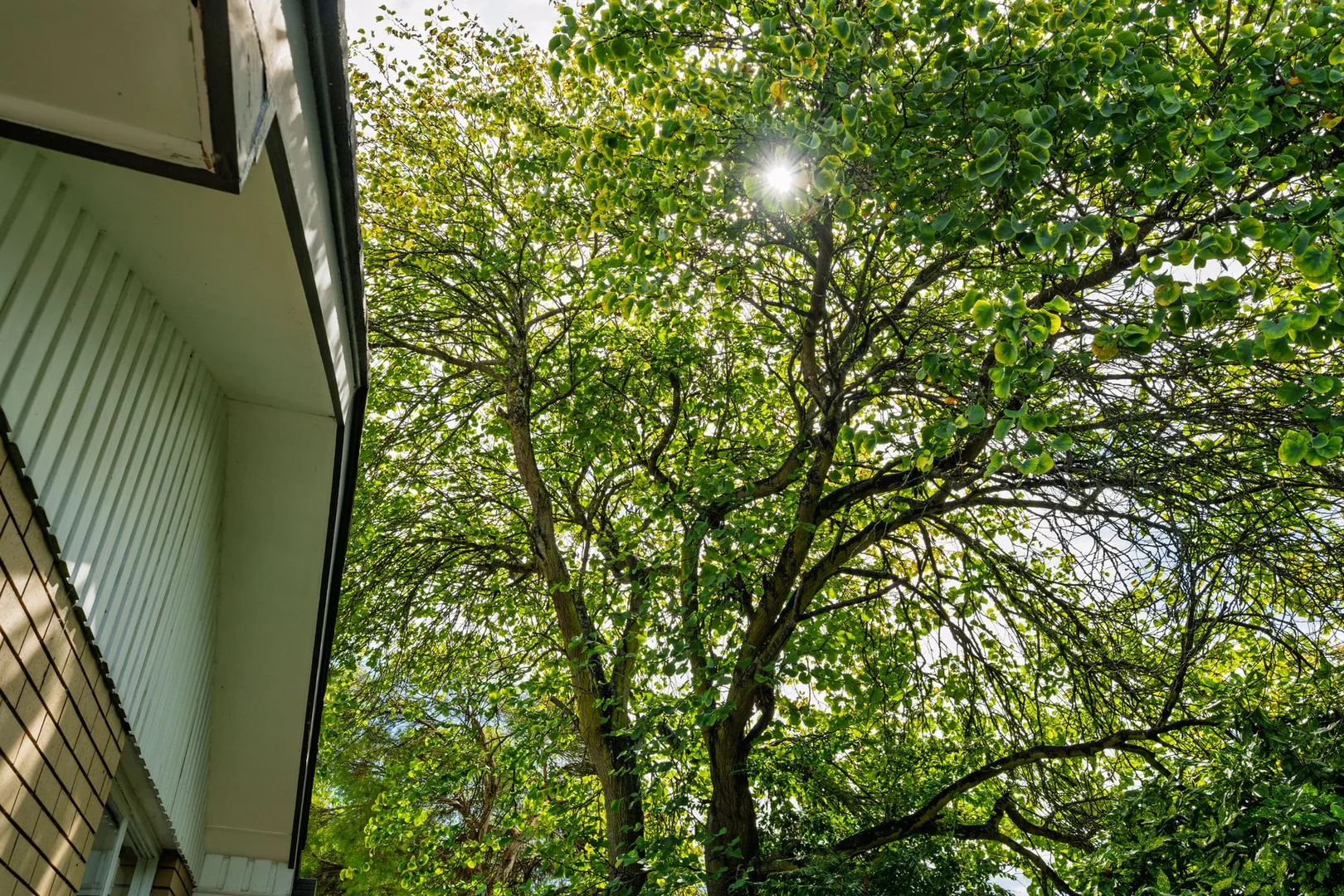 Additional image 14 of 3/47 Delany Avenue, Bright VIC 3741