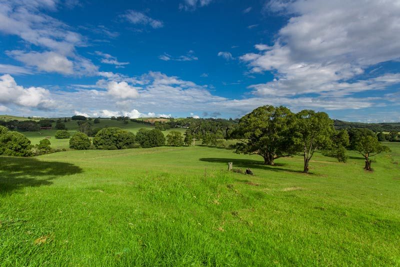 Lot 2 "The Meadows" Off Charlotte Street, BANGALOW NSW 2479, Image 0