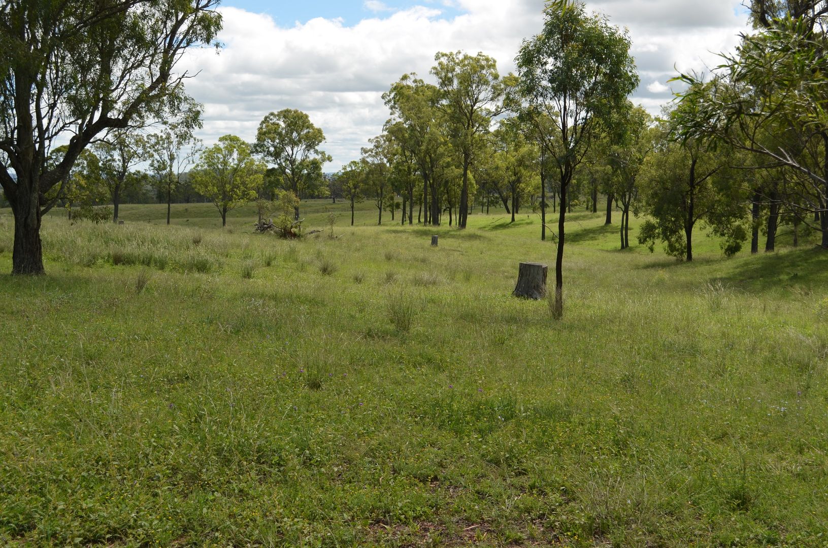 Lot 519 Reushle Road, Kleinton QLD 4352, Image 2