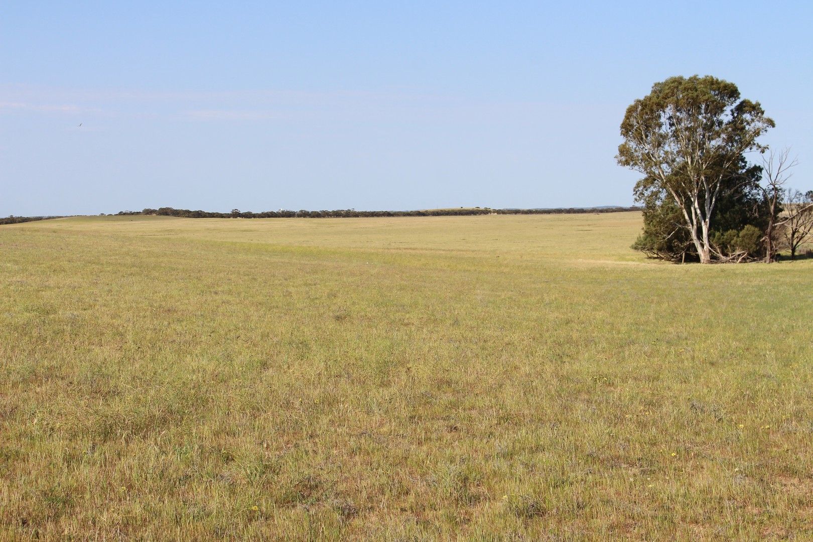 Lameroo SA 5302, Image 0