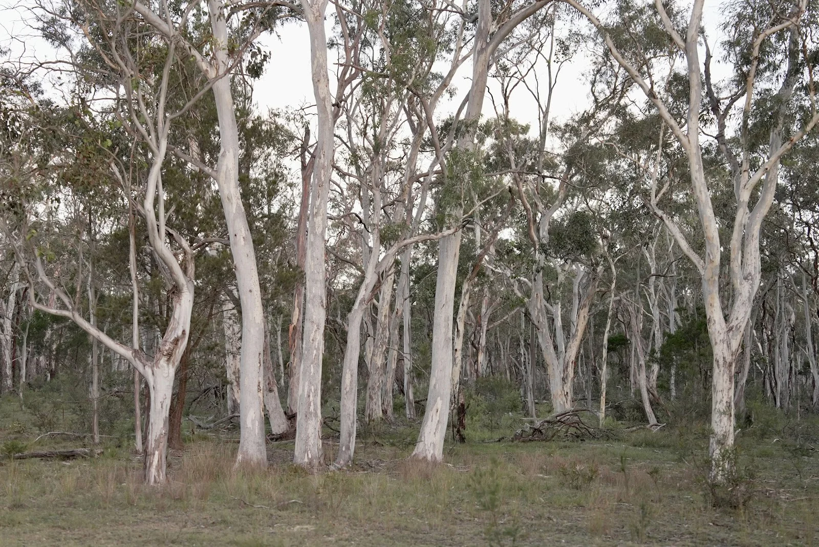 Additional image 30 of 134 Gumnut Crescent, Bungonia NSW 2580