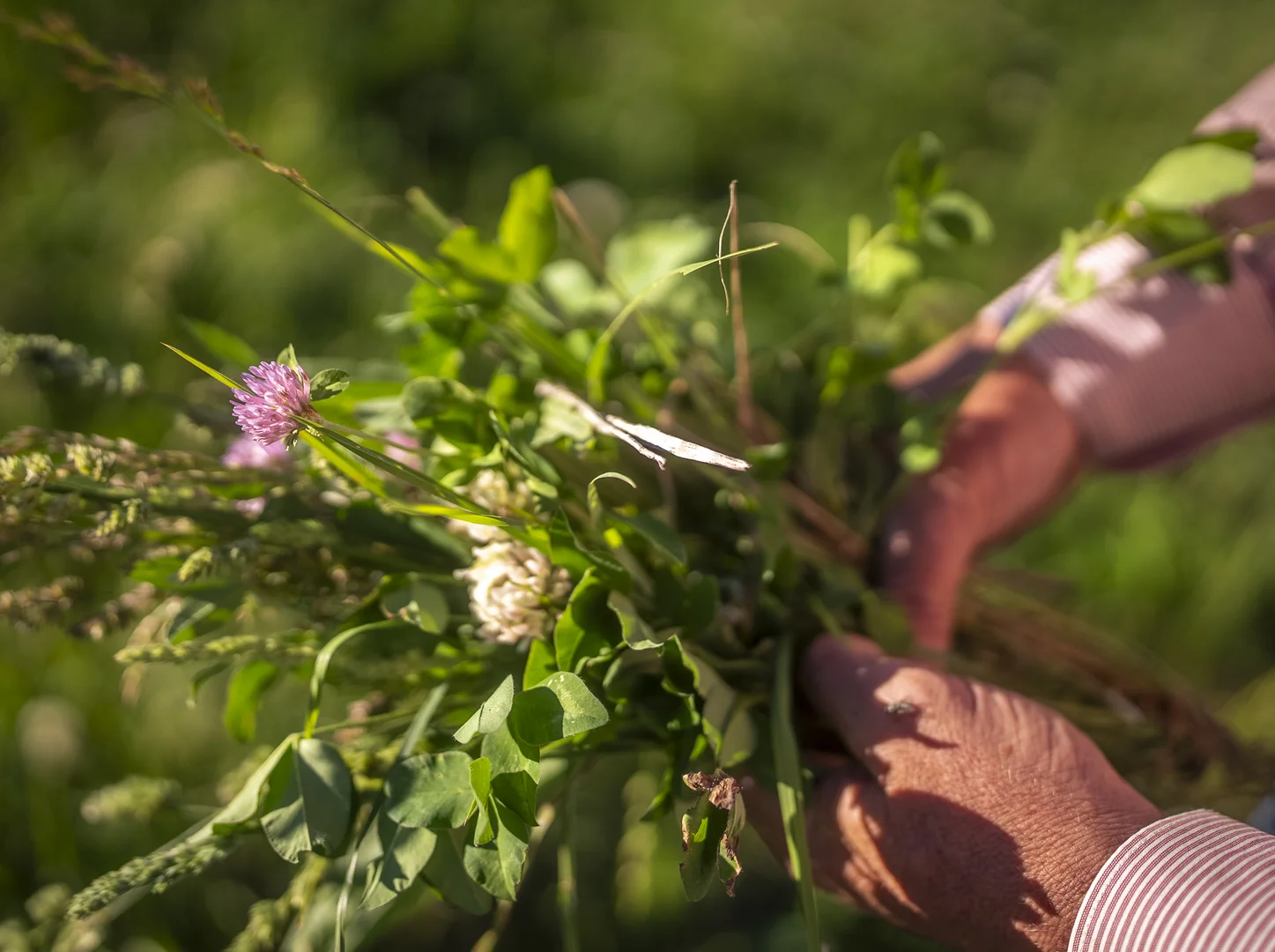 Additional image 28 of 161 Hickeys Road, Wongwibinda NSW 2350