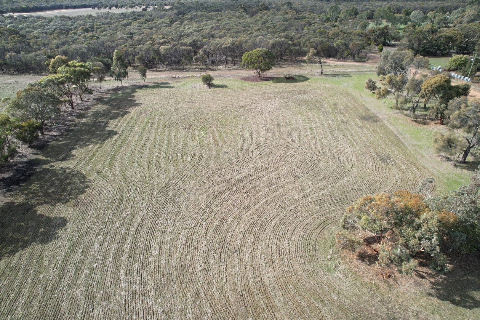 25 Prosser Street, Katanning WA 6317 Vacant Land for Sale 169,000