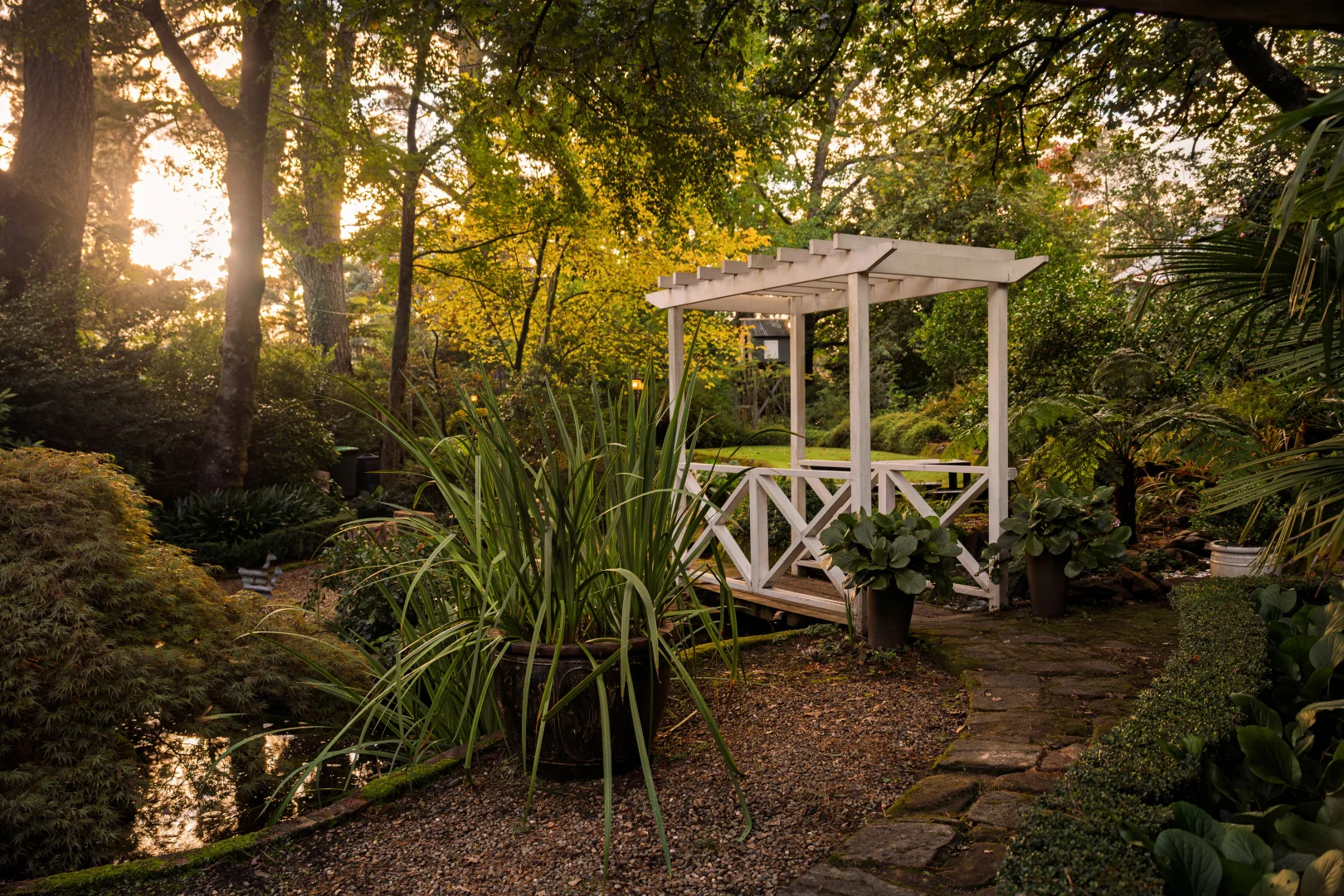 Additional image 18 of 25 Langford Road, Wentworth Falls NSW 2782