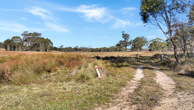 Picture of Lot 238 Rosehill Road, BOMBALA NSW 2632