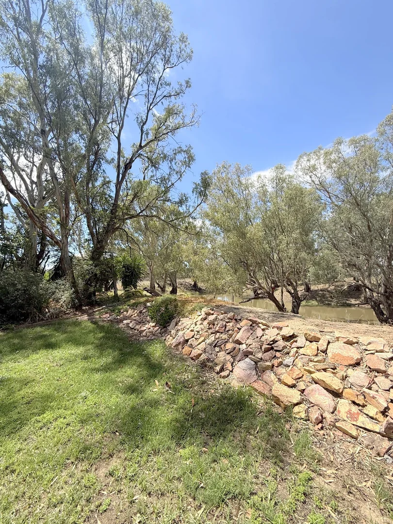 Image 61