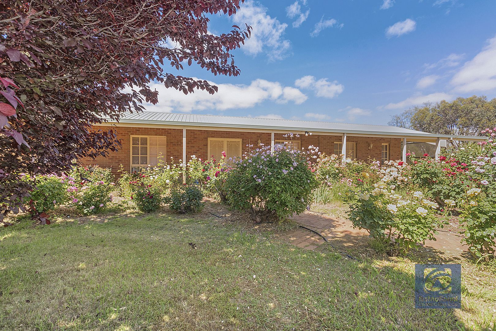 777 Mt Terrick Road, Echuca VIC 3564, Image 1