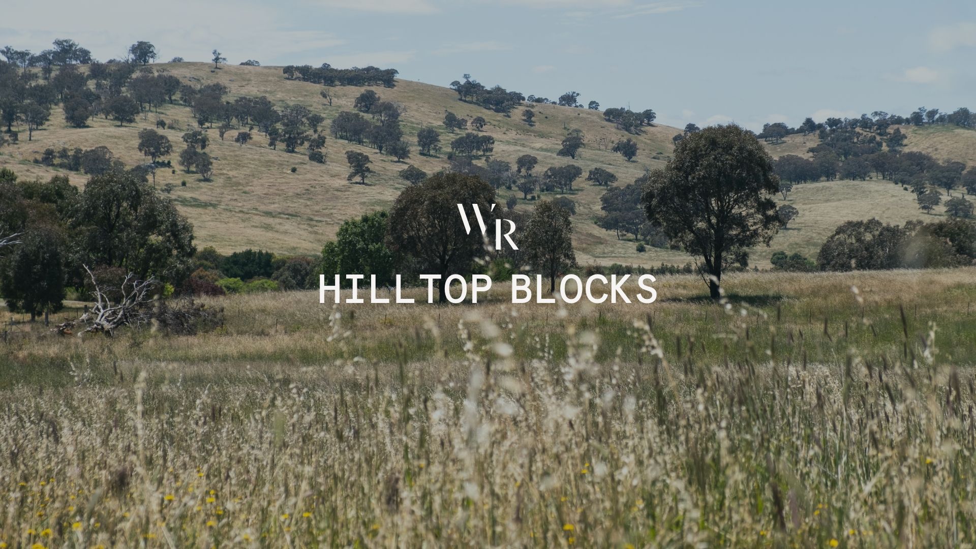 Sutton NSW 2620 Domain