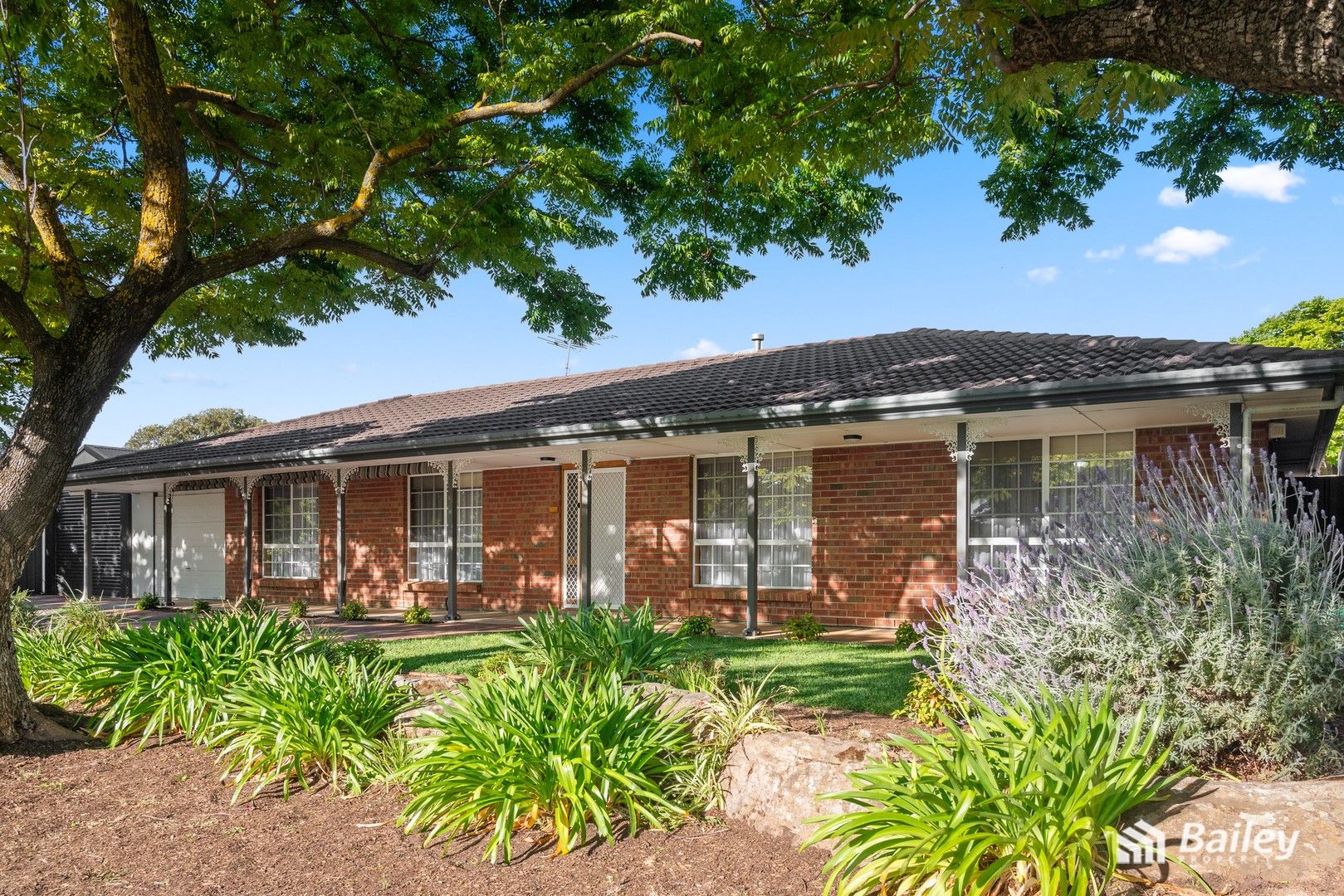 22 Brunswick Terrace, Wynn Vale SA 5127, Image 0