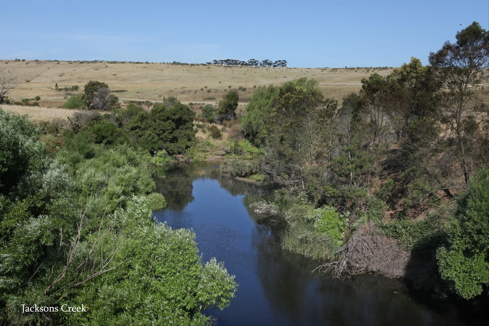 Image 15