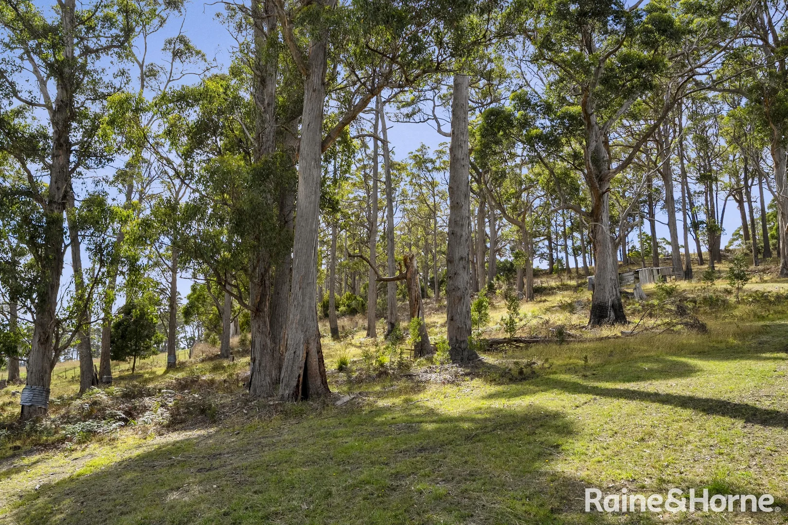 Additional image 14 of 1048 Nubeena Road, Premaydena TAS 7185