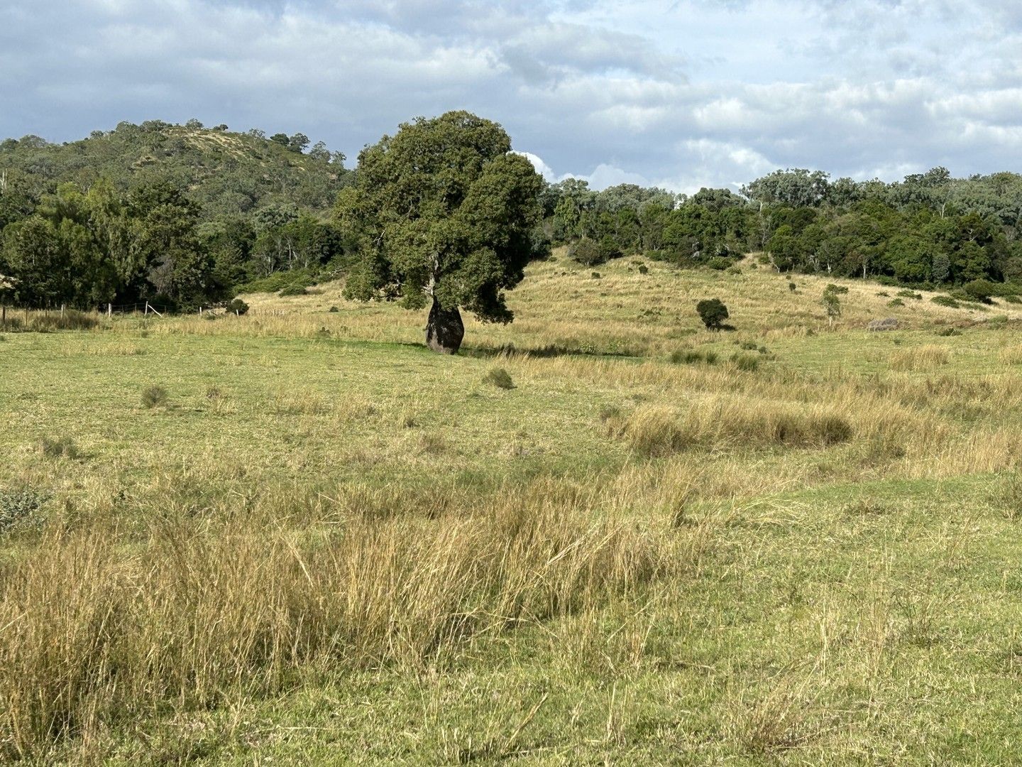 Lot 46 Bunya Mountains Maclagan Road, Rangemore QLD 4352, Image 0