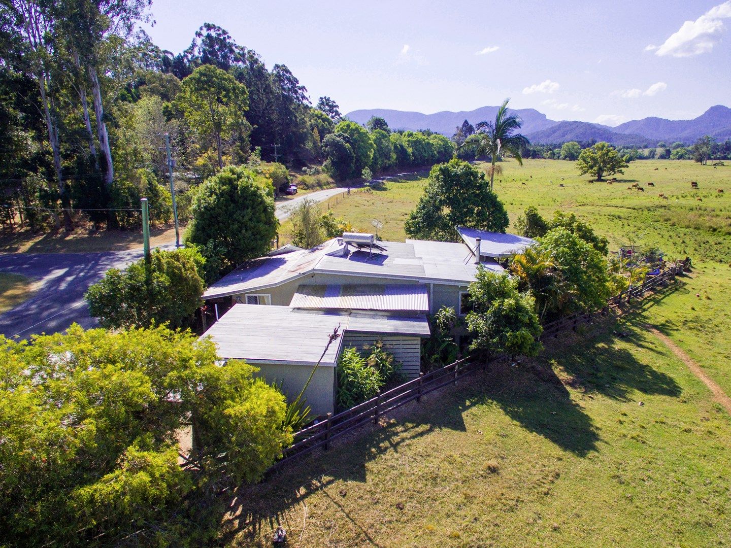 750 Numinbah Road, Crystal Creek NSW 2484, Image 1