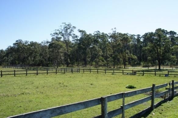 BOORAL NSW 2425, Image 2