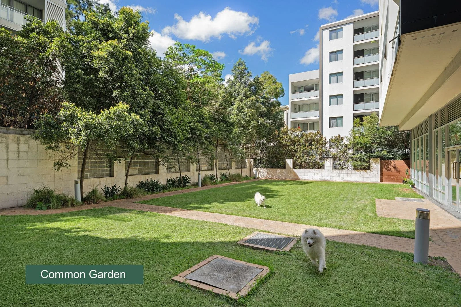 214/39 Cooper Street, Strathfield NSW 2135