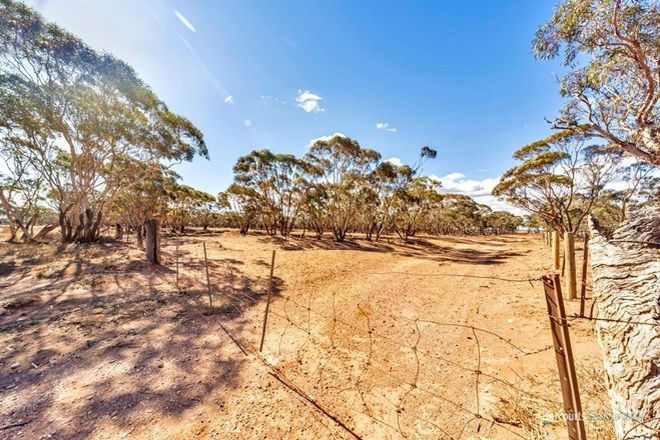 Picture of Lot 733 Bower Boundary Road, STEINFELD SA 5356