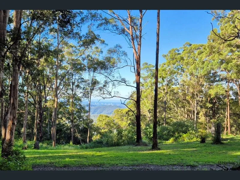 Additional image 15 of 1806 Gold Coast Springbrook Road, Springbrook QLD 4213