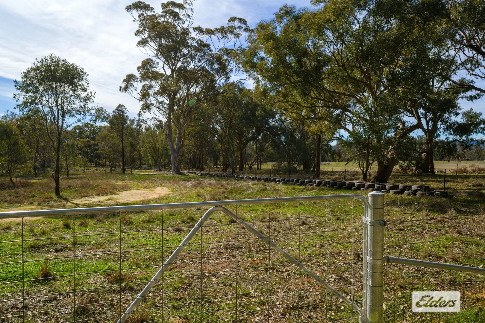 Image 11