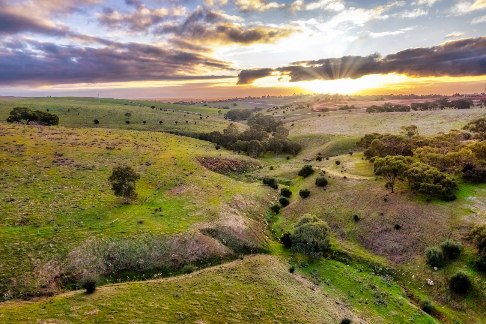 Adcock Drive, Gawler East SA 5118, Image 1