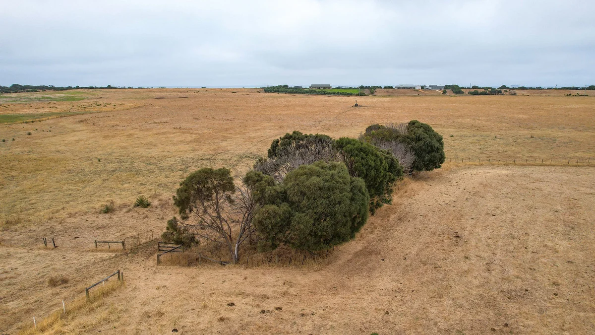 Image 10