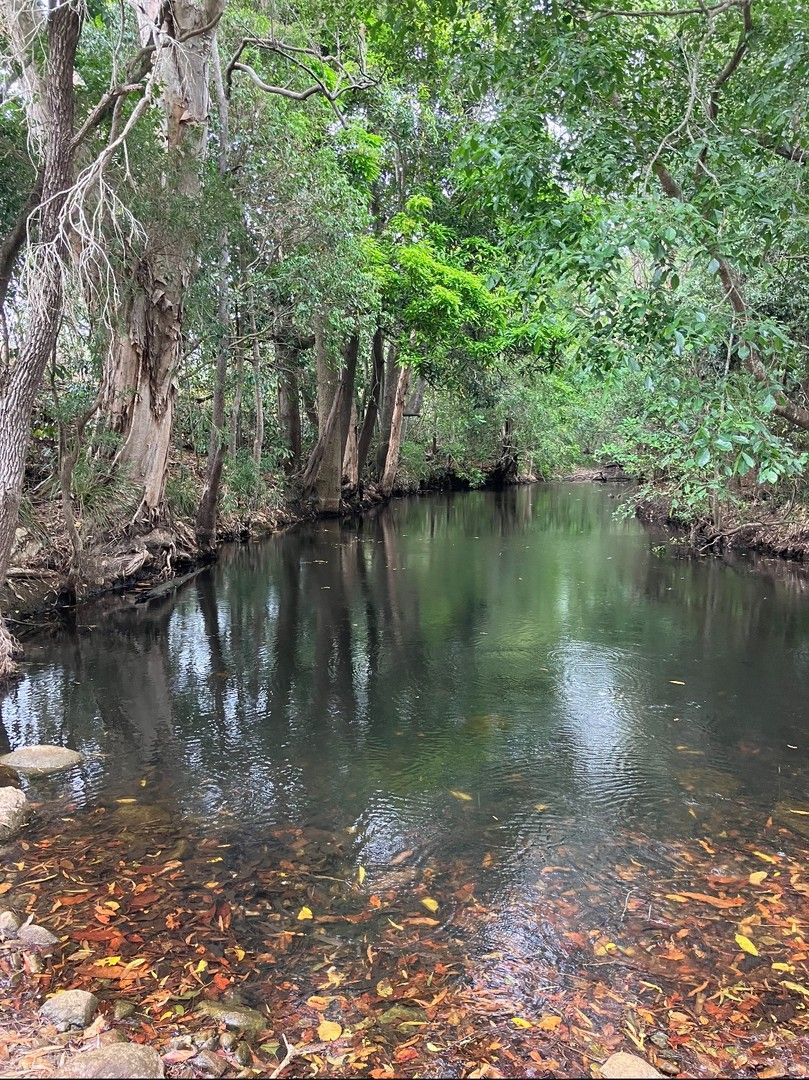 Paskins Road, Yalboroo QLD 4741, Image 0