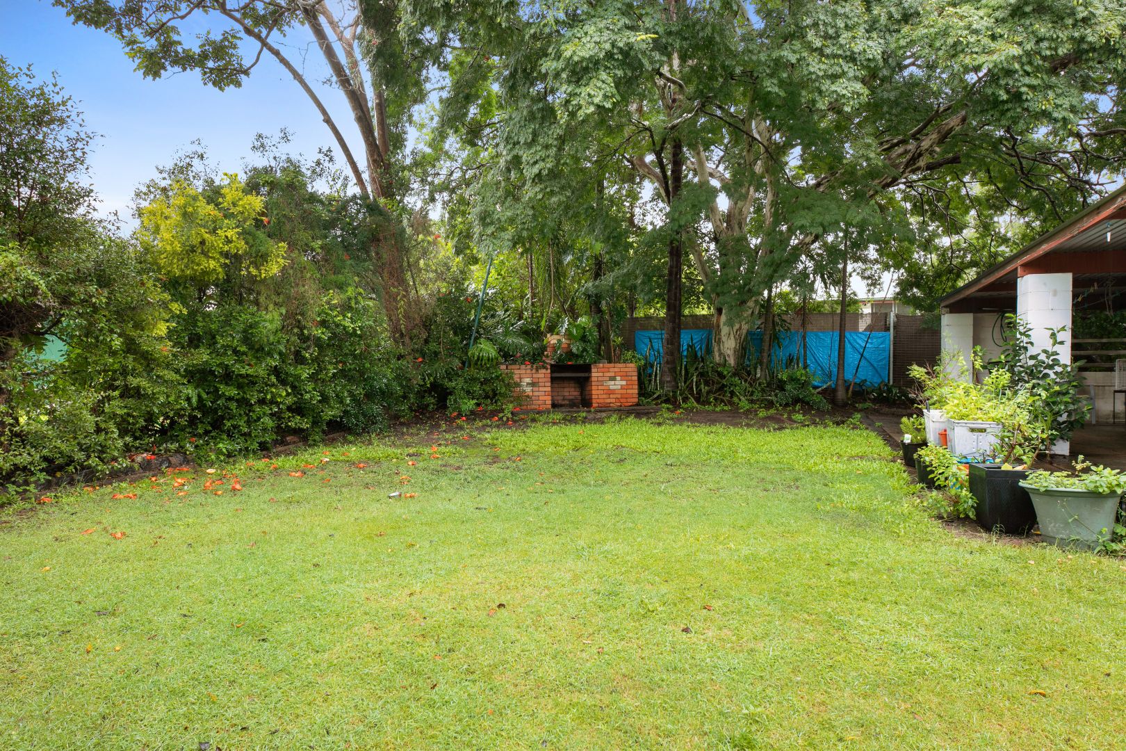 16 Hanify Street, Acacia Ridge QLD 4110, Image 1