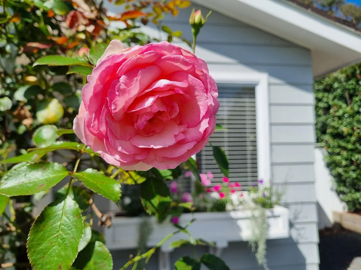 Additional image 38 of 19 Hill Street, Bundanoon NSW 2578