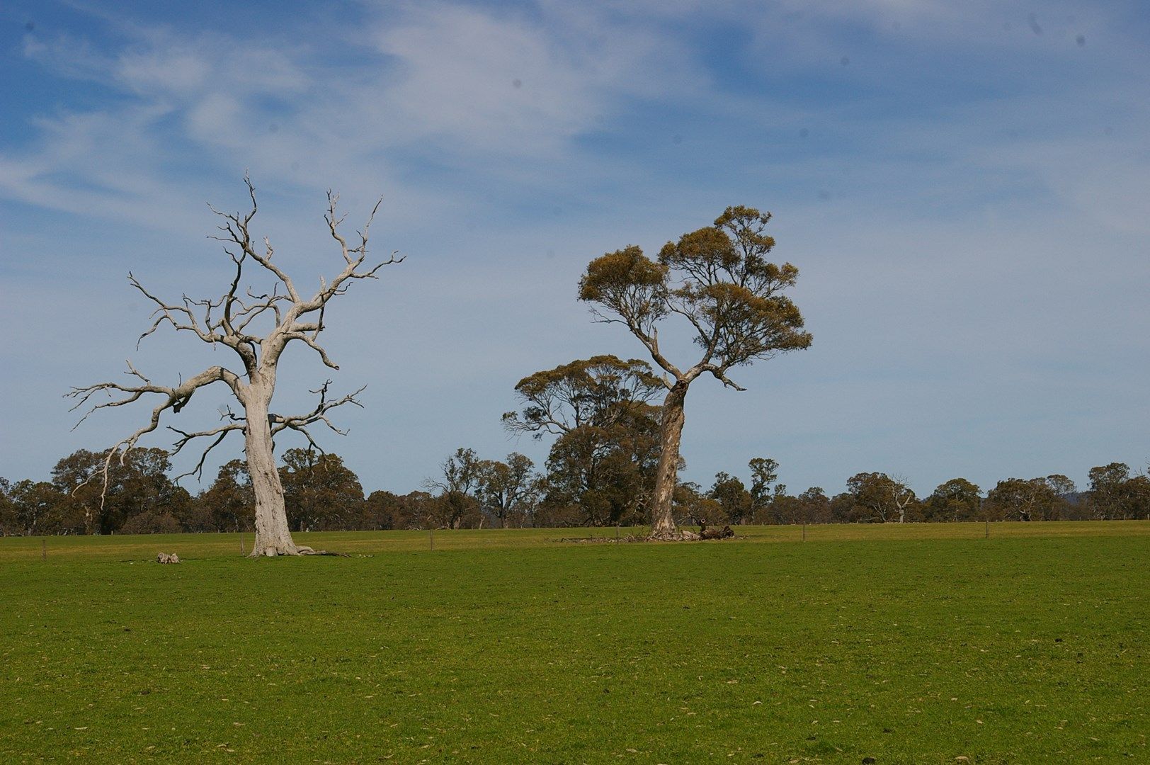 172 GLENDINNING ROAD, Vasey VIC 3407, Image 0