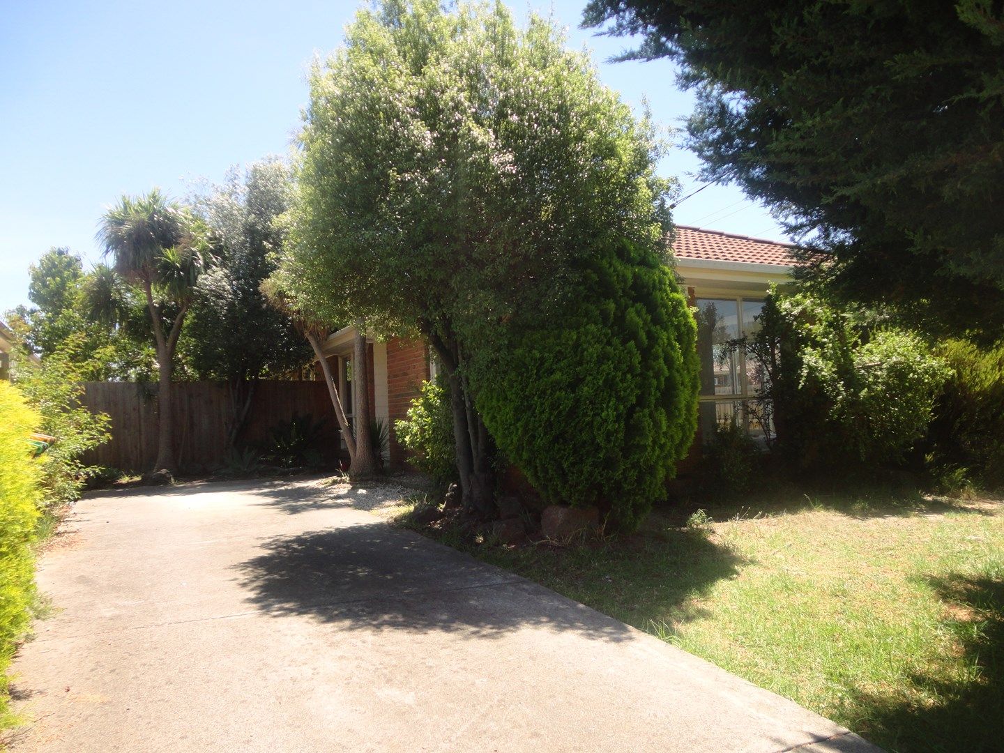 19 Dowling Road, Oakleigh South VIC 3167 House For Rent 500 Domain