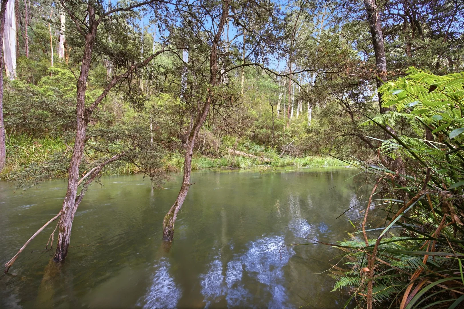 Additional image 4 of 2055 Woods Point Road, Reefton VIC 3799