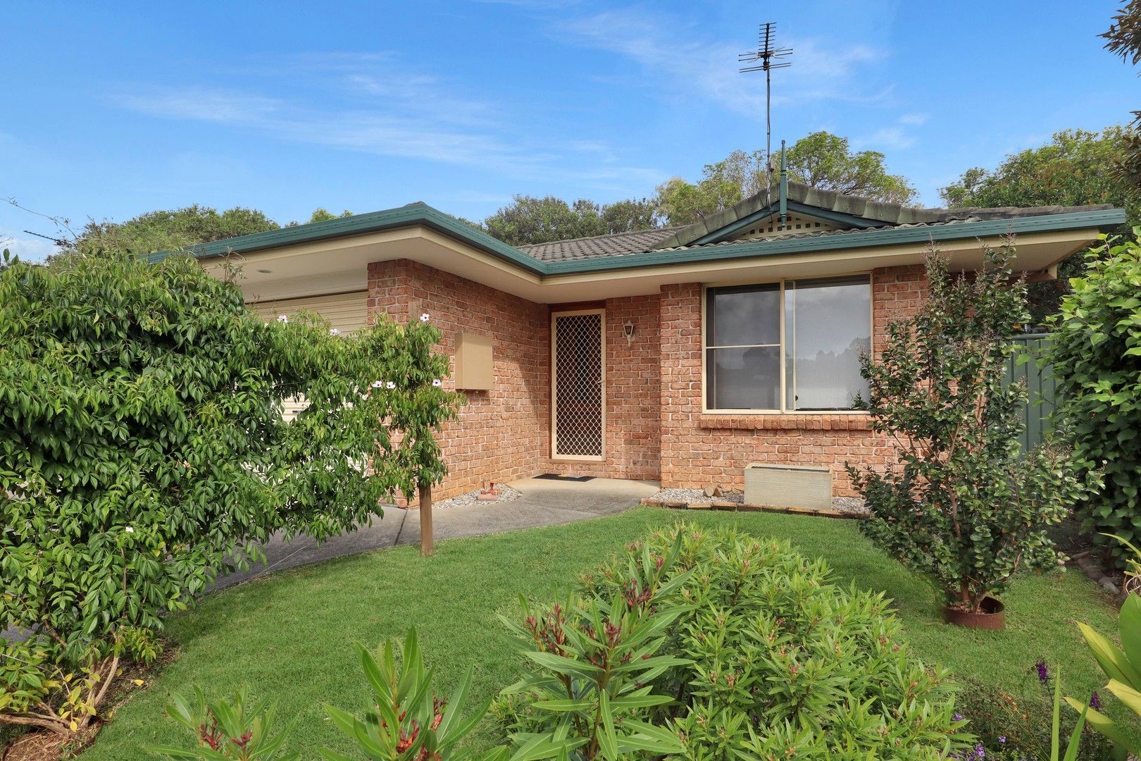 1/10 Basswood Court, Coffs Harbour NSW 2450, Image 0
