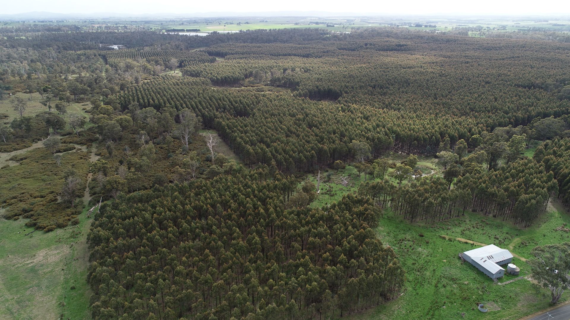 . Bracknell Road, Bracknell TAS 7302 House for Sale Domain