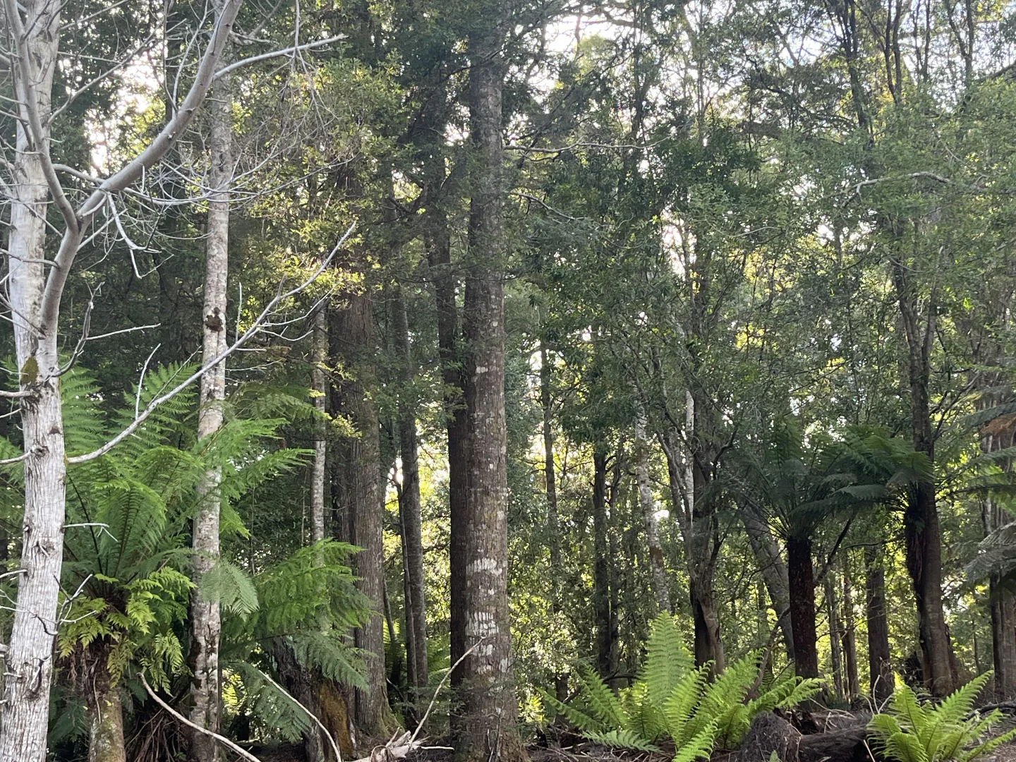 Additional image 5 of . Wilsons Road, Granville Harbour TAS 7469