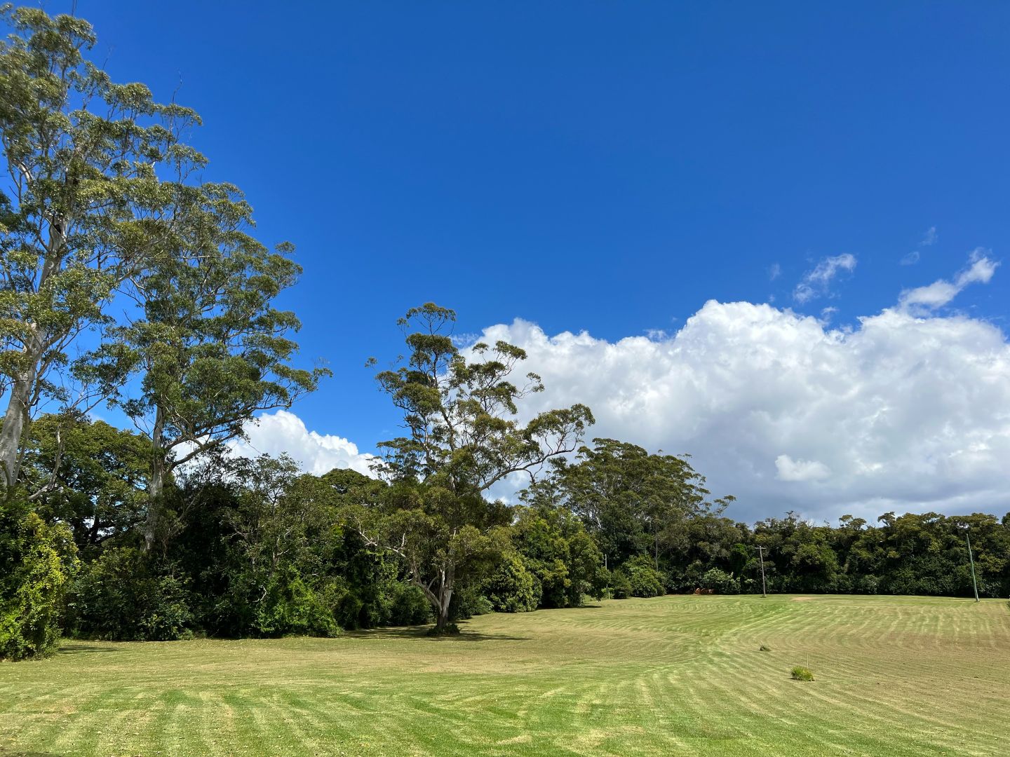 1G Esme Street, Tamborine Mountain QLD 4272, Image 1