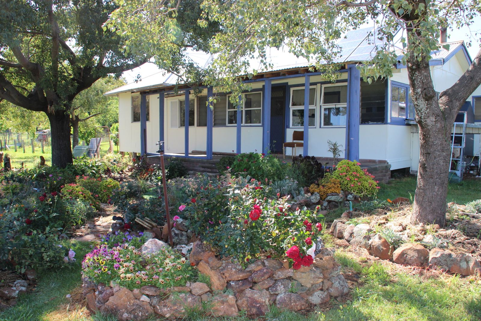 40 DOWNS TOTHILLS ROAD, Coonabarabran NSW 2357, Image 0