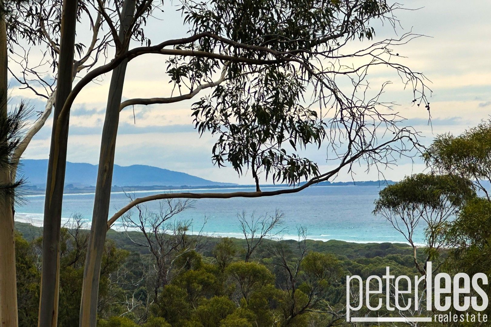 19 Rosedale Road, Bicheno TAS 7215, Image 0