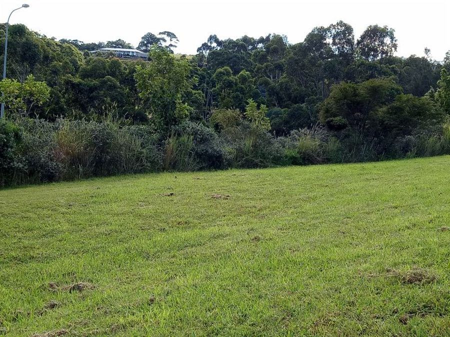 Lot 34 Bottlebrush Lane, Tallwoods Village NSW 2430, Image 1