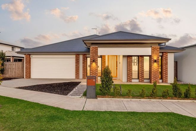 42 Cornflower Way, MOUNT DUNEED, VIC, 3217