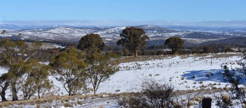 2964 Shannons Flat Road, Shannons Flat NSW 2630, Image 2