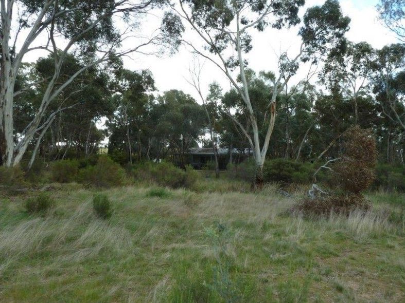 69 Ainsworth Road, Wedderburn VIC 3518, Image 1