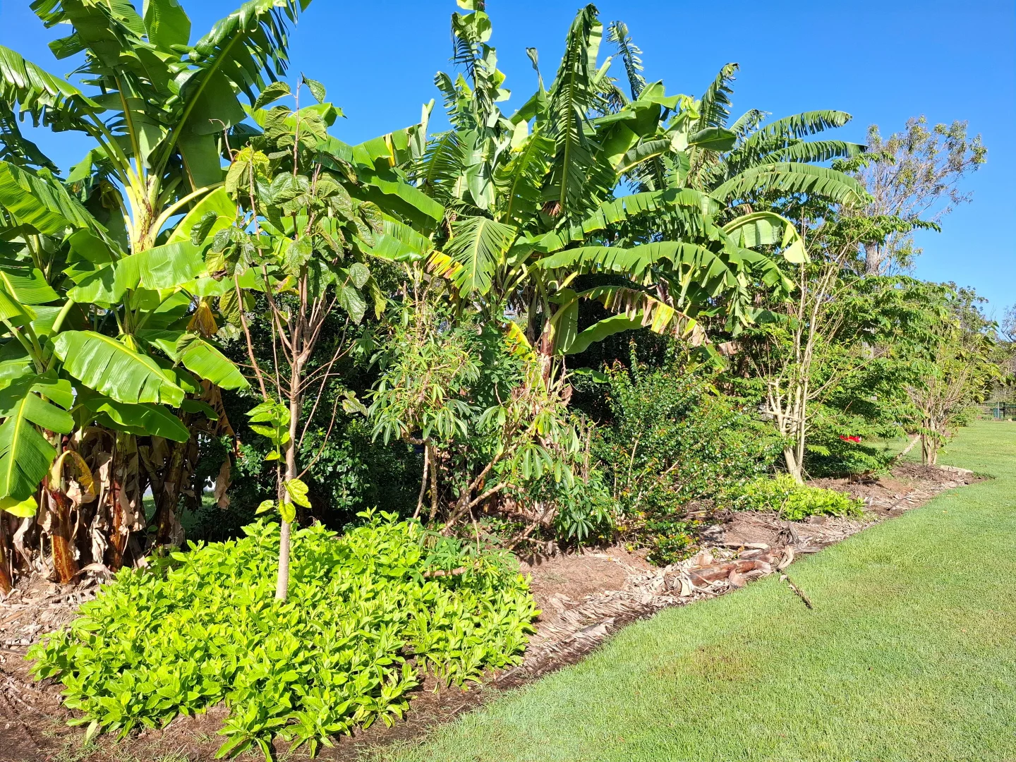 Additional image 25 of 235 Pacific Haven Circuit, Pacific Haven QLD 4659