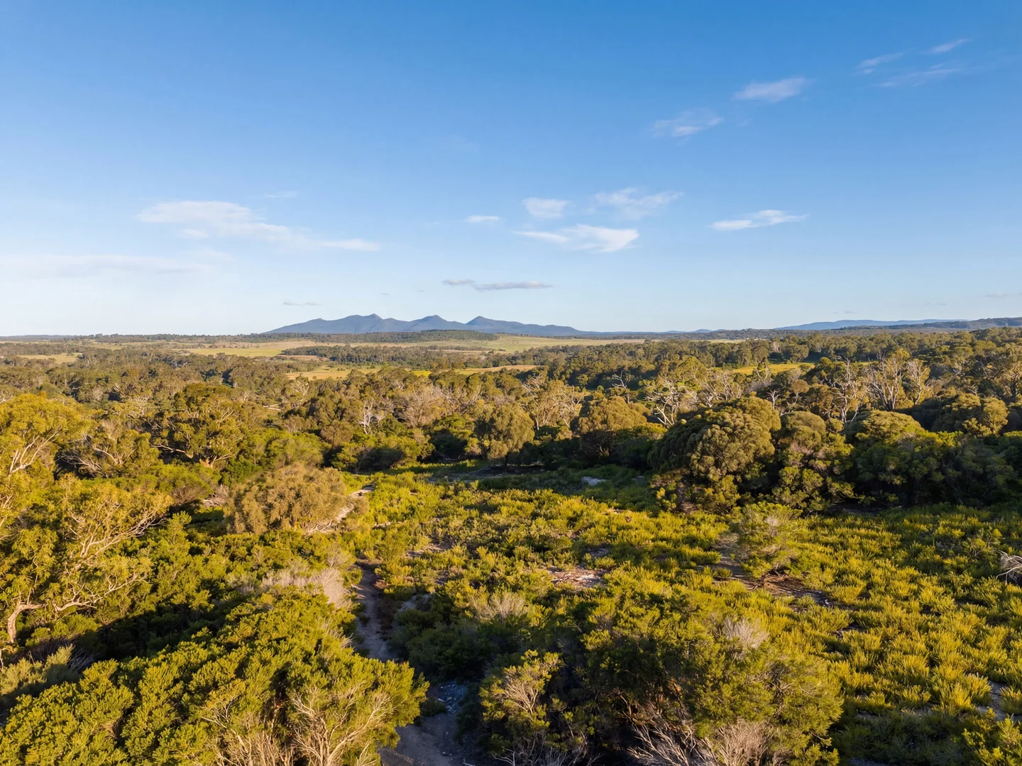 Additional image 5 of Lot 1 & 2 Waterhouse Road, Waterhouse TAS 7262
