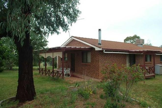 Picture of 101 Martins Lane, PIALLAMORE NSW 2340