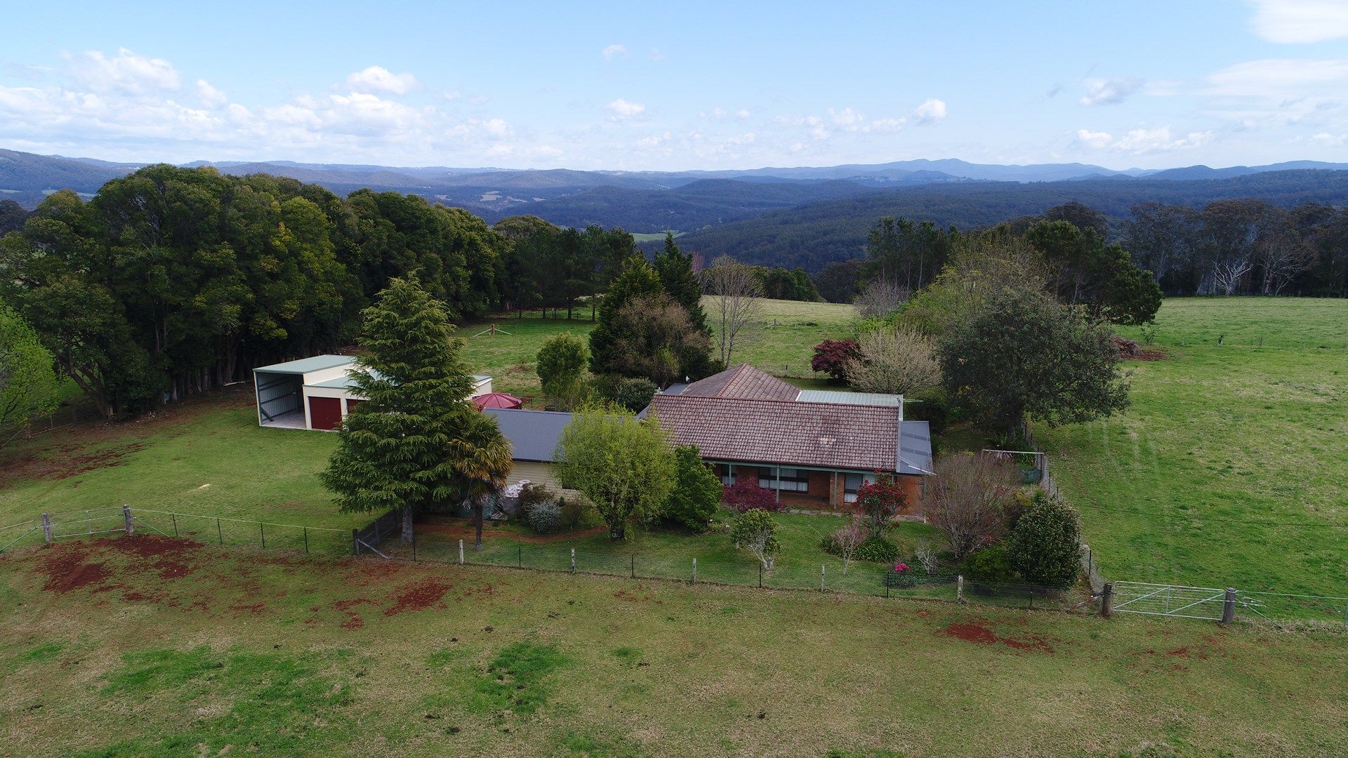 Paddys Plains Road, Dorrigo NSW 2453, Image 0