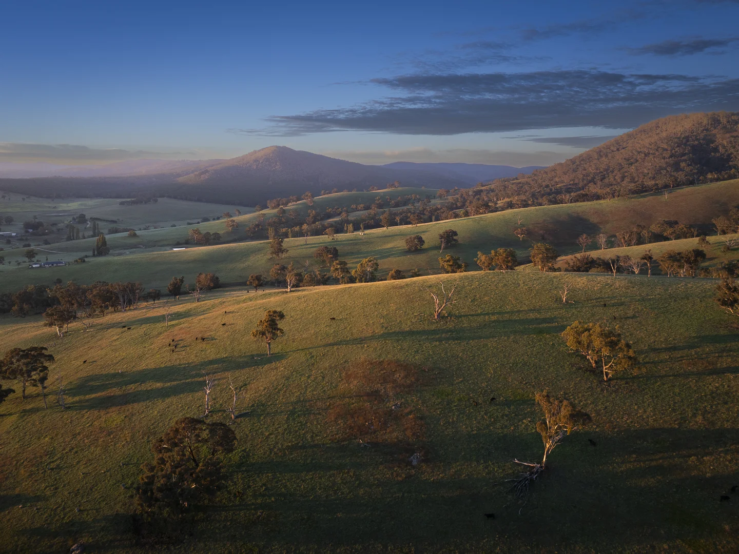 Additional image 32 of Tarana NSW 2787