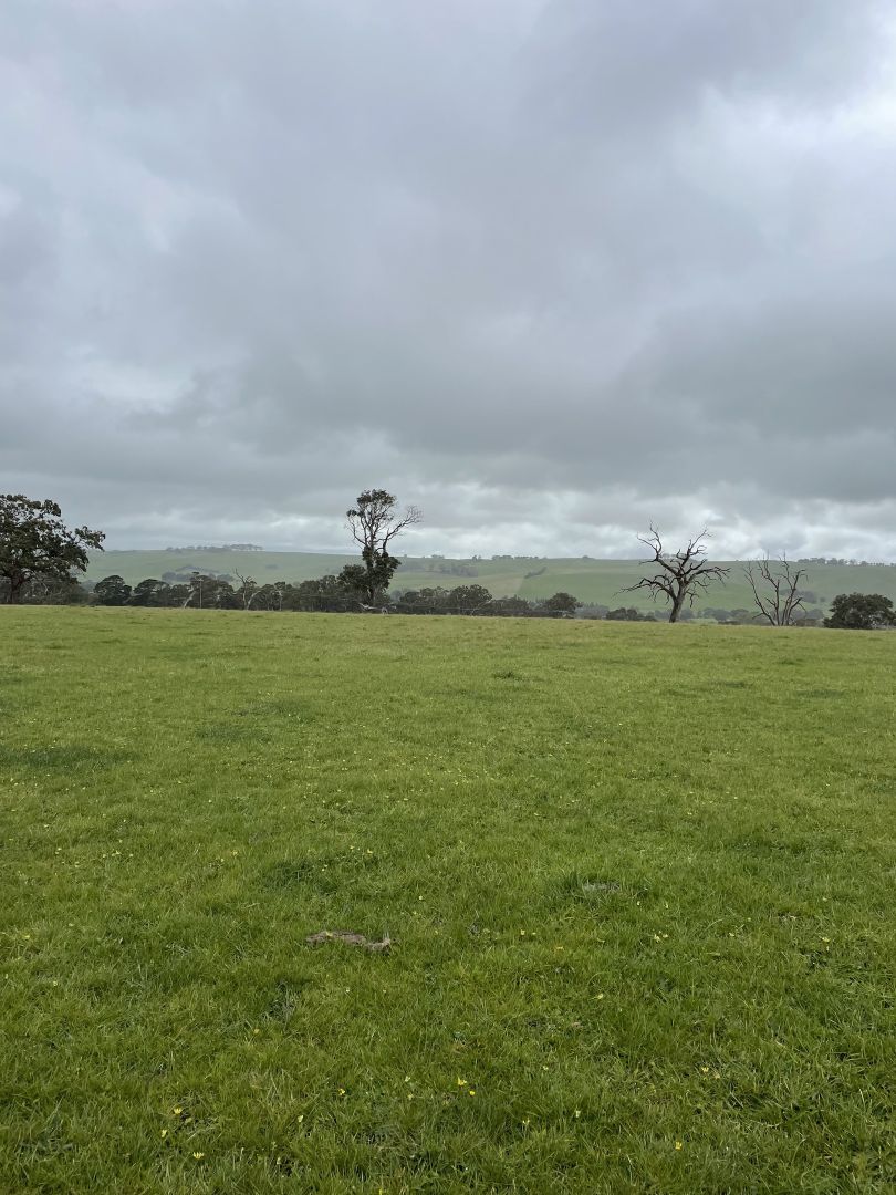 Portland-Casterton Road, Henty VIC 3312, Image 1