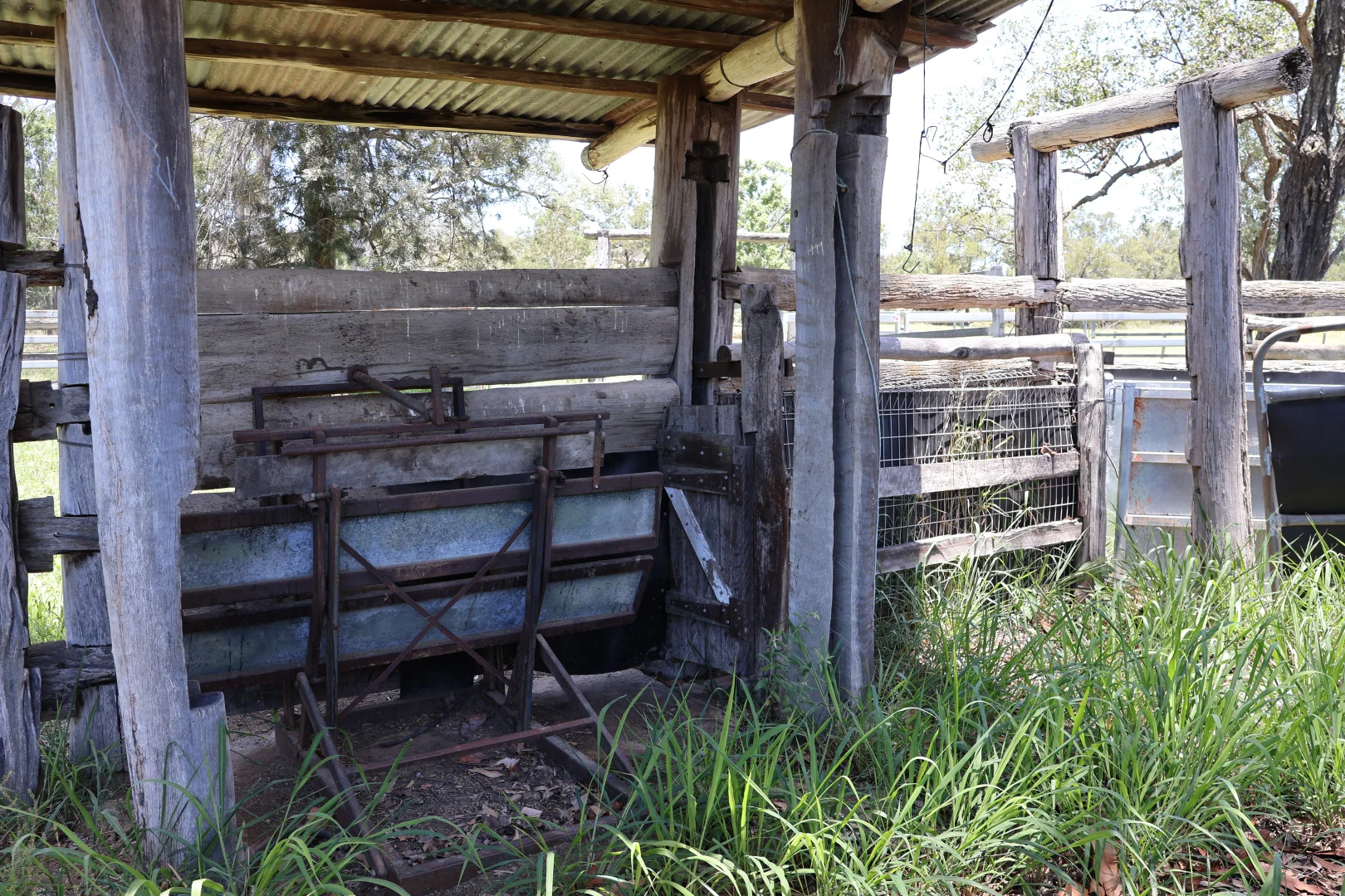 Image 5