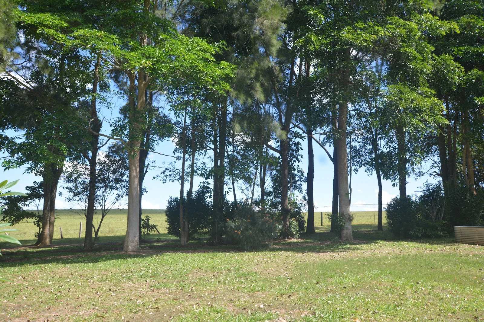 Image 50